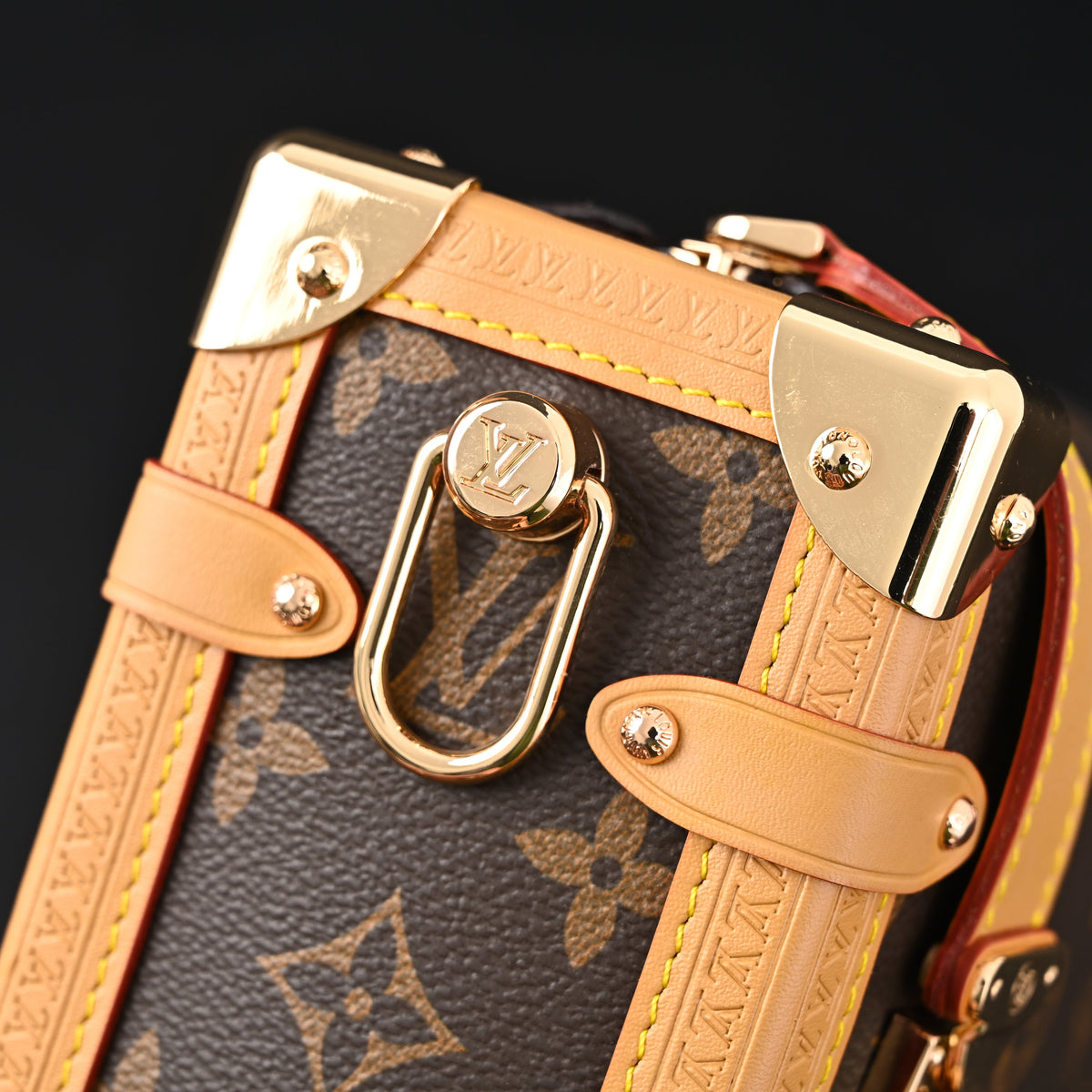 Louis Vuitton Cannes Trunk Bag – Monogram Canvas with Gold-Tone Hardware